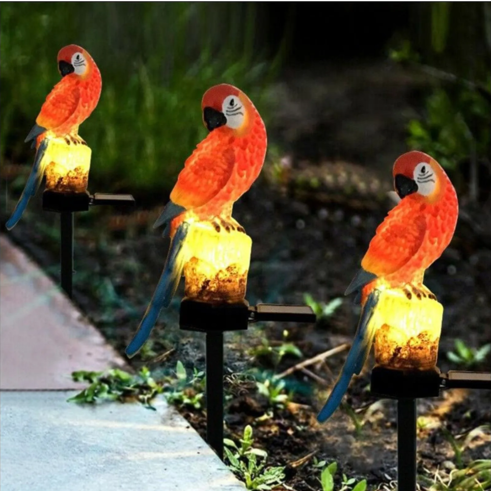 Solar Resin Parrot Decorative  - مراجعة Outdoor Lighting Company وسعره