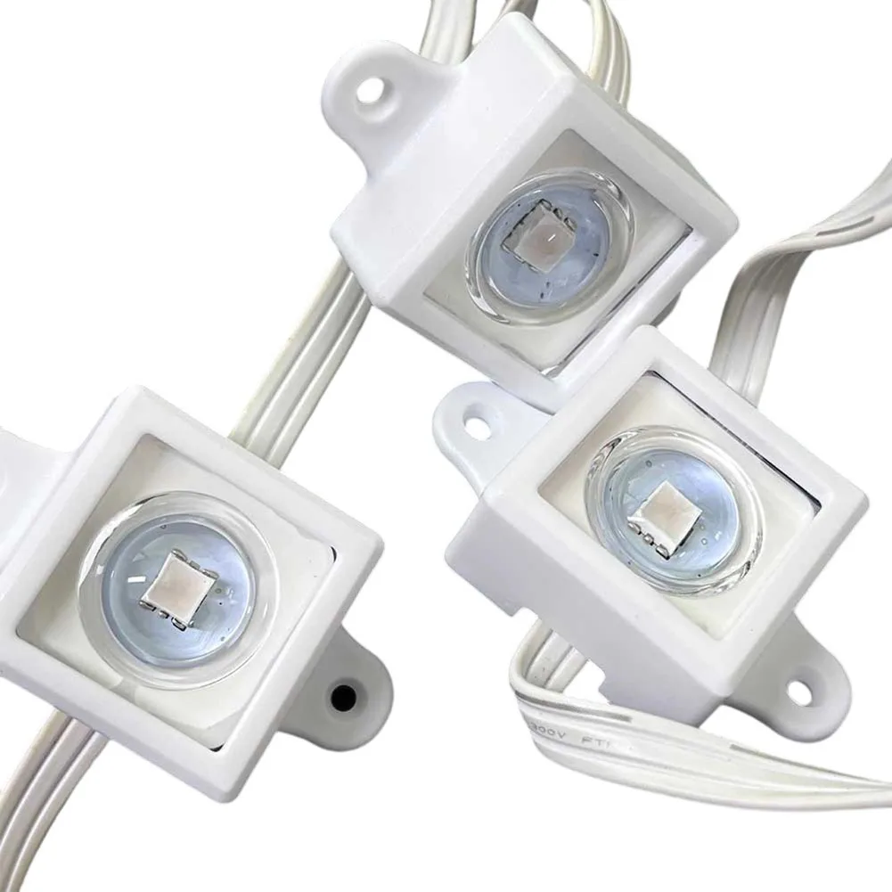 40/80Pcs Festival Light Clips  - مراجعة Outdoor Lighting Govee وسعره