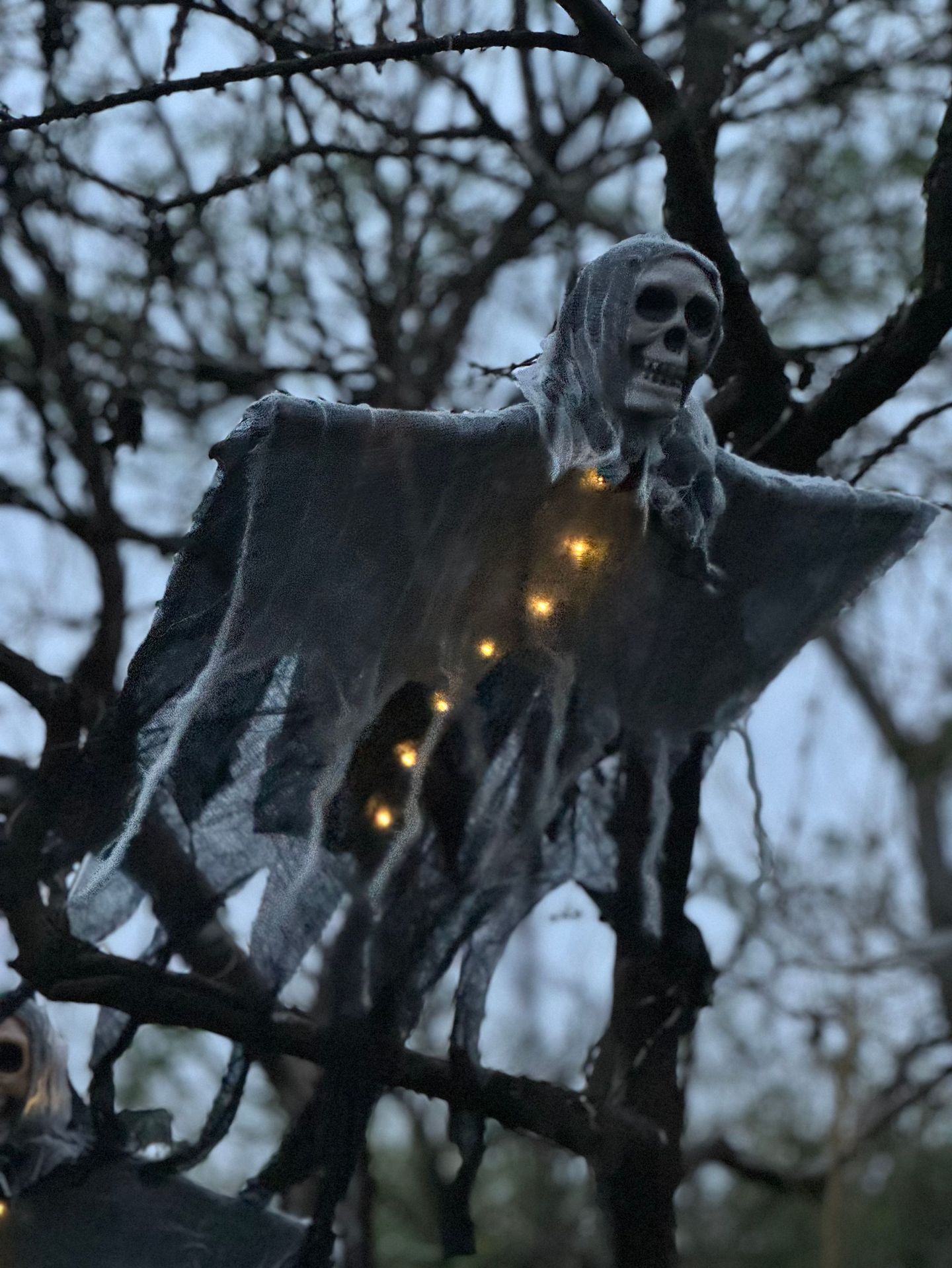 Halloween Grim Reaper Skeleton - مراجعة Outdoor Lighting Chandelier وسعره